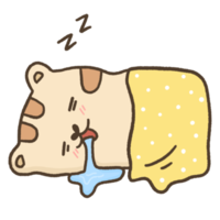 sleeping cat illustration png