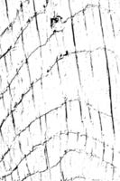 rustique grunge texture avec grain et taches. abstrait bruit Contexte. png graphique illustration avec transparent Contexte.