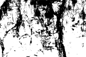 rustik grunge textur med spannmål och fläckar. abstrakt ljud bakgrund. png grafisk illustration med transparent bakgrund.