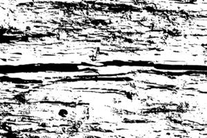 rustik grunge textur med spannmål och fläckar. abstrakt ljud bakgrund. png grafisk illustration med transparent bakgrund.