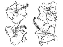 Hand drawn flower sketch line art illustration set vector