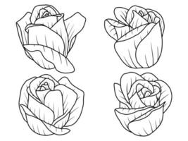 Hand drawn flower sketch line art illustration set vector