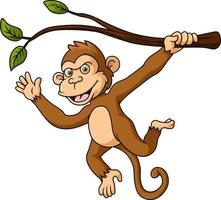 Cute little monkey cartoon hanging on tree branch vector