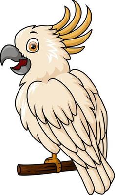 Cute white cockatoo on tree branch