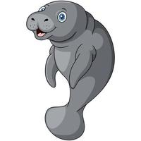 Cute manatee cartoon on white background vector