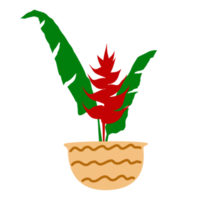 tropical feuille et pot plante. png
