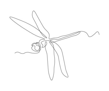 abstract Dragonfly Continuous One Line Drawing vector