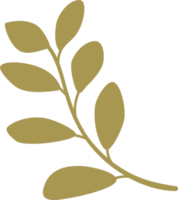 Tiny green branch,  leaf graphic element on transparent background.   Spring floral illustration. Flora, plant, png