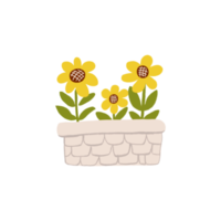 Flower bed or pot to grow sunflowers in the garden or farm. Isolated gardening illustration in watercolor. For kids education graphic element with garden bed to growing yellow flowers. png