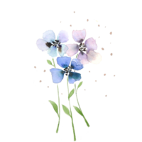 Blue Flower watercolor on white background png