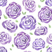 violett Rose Aquarell nahtlos, lila Rose Hintergrund png