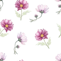 Seamless background of flower watercolor png