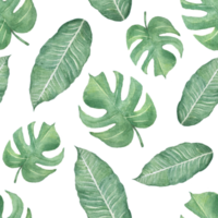 Seamless background of leaves watercolor png