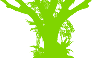 Baum im das Wald oder Urwald Silhouette zum Kunst Illustration, Hintergrund, oder Grafik Design Element. Format png