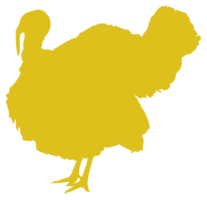 Turkey Silhouette for Art Illustration, Pictogram or Graphic Design Element. The Turkey is a large bird in the genus Meleagris. Format PNG