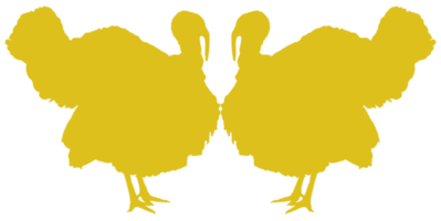 Turquía silueta para Arte ilustración, pictograma o gráfico diseño elemento. el Turquía es un grande pájaro en el género meleagris. formato png