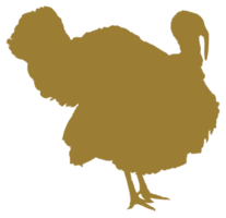 Truthahn Silhouette zum Kunst Illustration, Piktogramm oder Grafik Design Element. das Truthahn ist ein groß Vogel im das Gattung Meleagris. Format png