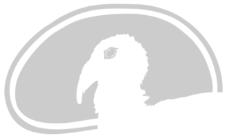 Truthahn Kopf Silhouette im das Fleisch gestalten zum Logo, Etikett, markieren, Schild, Piktogramm oder Grafik Design Element. das Truthahn ist ein groß Vogel im das Gattung Meleagris. Format png