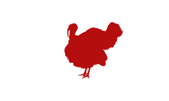 Turquía silueta en el carne forma para logotipo, etiqueta, marca, etiqueta, pictograma o gráfico diseño elemento. el Turquía es un grande pájaro en el género meleagris. formato png