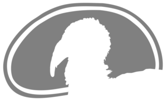 Truthahn Kopf Silhouette im das Fleisch gestalten zum Logo, Etikett, markieren, Schild, Piktogramm oder Grafik Design Element. das Truthahn ist ein groß Vogel im das Gattung Meleagris. Format png