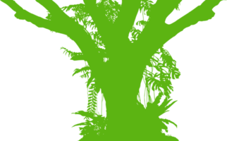 arbre dans le forêt ou jungle silhouette pour art illustration, arrière-plan, ou graphique conception élément. format png