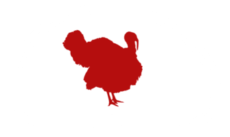 Turkey Silhouette in the Meat Shape for Logo,Label, Mark, Tag, Pictogram or Graphic Design Element. The Turkey is a large bird in the genus Meleagris. Format PNG