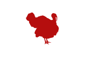 Truthahn Silhouette im das Fleisch gestalten zum Logo, Etikett, markieren, Schild, Piktogramm oder Grafik Design Element. das Truthahn ist ein groß Vogel im das Gattung Meleagris. Format png