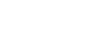 Truthahn Silhouette im das Fleisch gestalten zum Logo, Etikett, markieren, Schild, Piktogramm oder Grafik Design Element. das Truthahn ist ein groß Vogel im das Gattung Meleagris. Format png