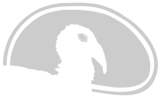 dinde tête silhouette dans le Viande forme pour logo, étiquette, marquer, étiqueter, pictogramme ou graphique conception élément. le dinde est une grand oiseau dans le genre méléagris. format png