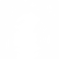 albero nel il foresta o giungla silhouette per arte illustrazione, sfondo, o grafico design elemento. formato png