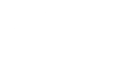 par de Turquía silueta para Arte ilustración, pictograma o gráfico diseño elemento. el Turquía es un grande pájaro en el género meleagris. formato png