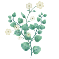 vattenfärg blommig buketter png med transparent bakgrund