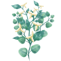 vattenfärg blommig buketter png med transparent bakgrund