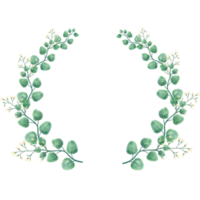 acuarela floral guirnalda png con transparente antecedentes