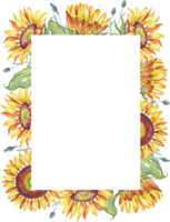 Frame. Watercolor sunflowers png