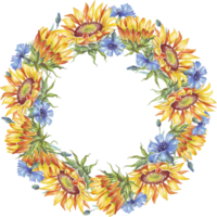 Wreath. Watercolor sunflower and cornflower