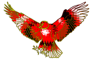 Symbol Adler fliegend bereit zu jagen png