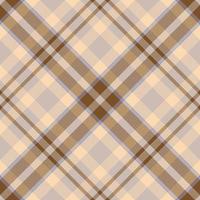 Plaid pattern vector. Check fabric texture. Seamless textile design for clothes, paper print. vector