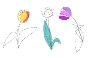 Set beautiful blossoming tulip flower in continuous line art drawing style. Minimalist black linear sketch isolated on white background. Vector illustration.