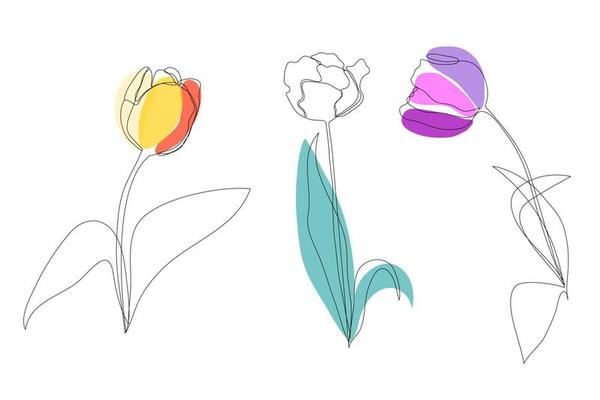 Tulip Line Vector Art, Icons, and Graphics for Free Download