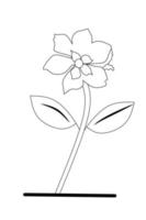 Begonia flower sketch with white background elements. Vector illustration.