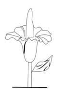 Sketch of Corpse Flower with white background elements. Vector illustration.