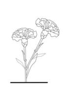 Carnation Flower sketch with white background elements. Vector illustration.