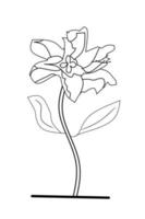 Lily Flower sketch with white background elements. Vector illustration.