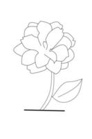 Camellia flower outline on white background. vector illustration.