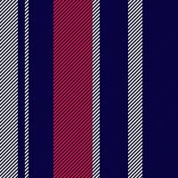 Stripes pattern vector background. Colorful stripe abstract texture.