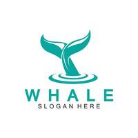 whale tail logo vector illustration design. Whale tail graphic icon