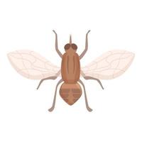 Glossinidae tsetse fly icon cartoon vector. Insect mosquito vector