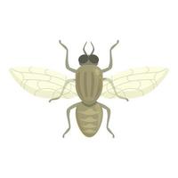 sangre tsetsé mosca icono dibujos animados vector. África insecto vector