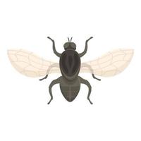 Tik tsetse fly icon cartoon vector. Africa insect vector